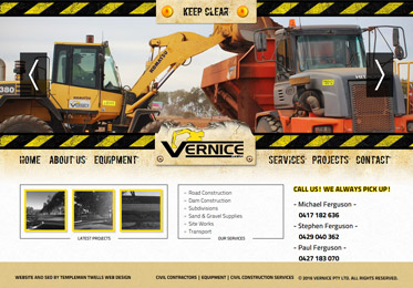 Screenshot of the Vernice Website